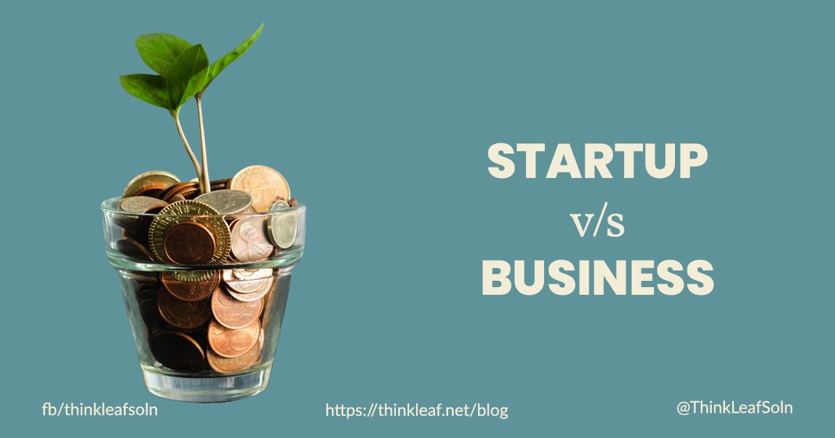 difference between startup and business plan