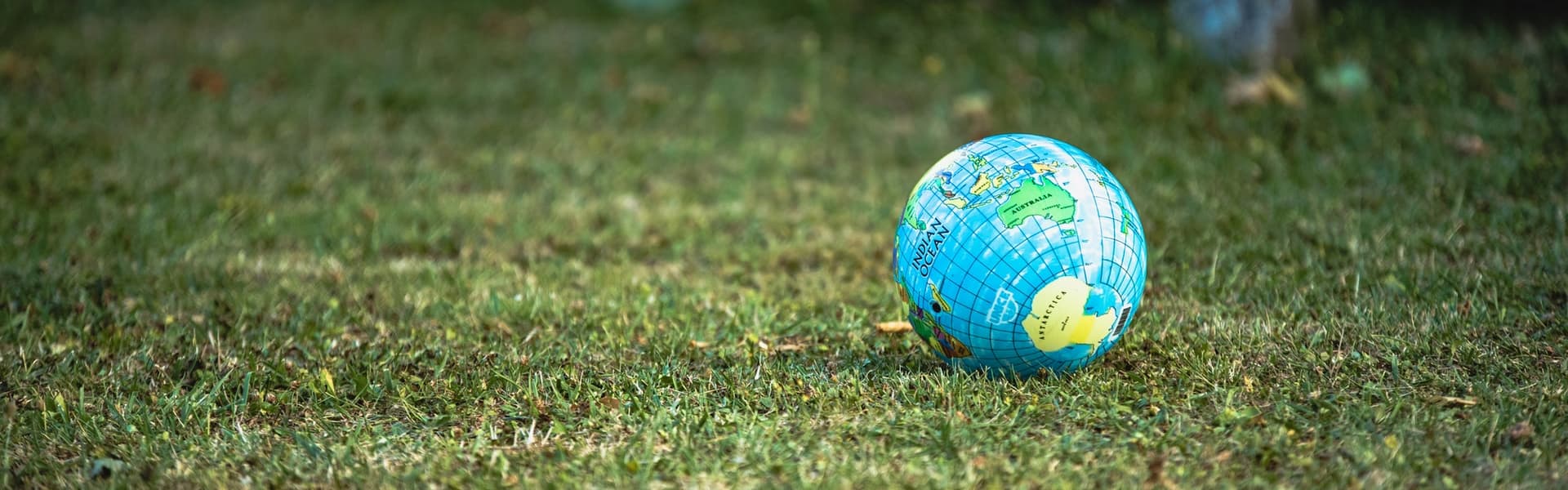 Globe on grass