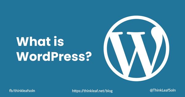 What is WordPress and WordPress website?